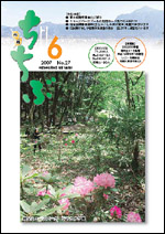 市報ちちぶ(平成19年6月号)表紙